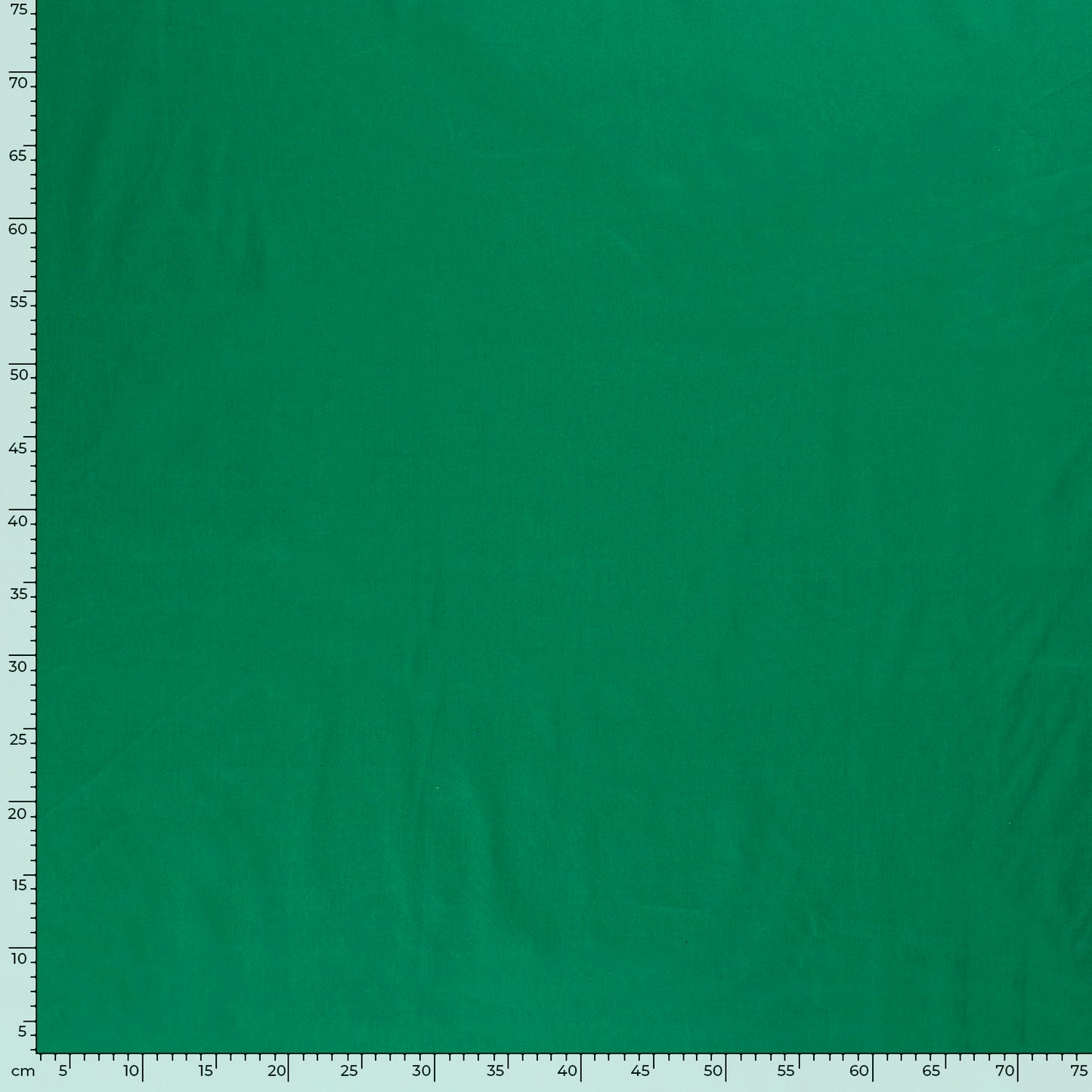 Cotton Poplin Forest Green