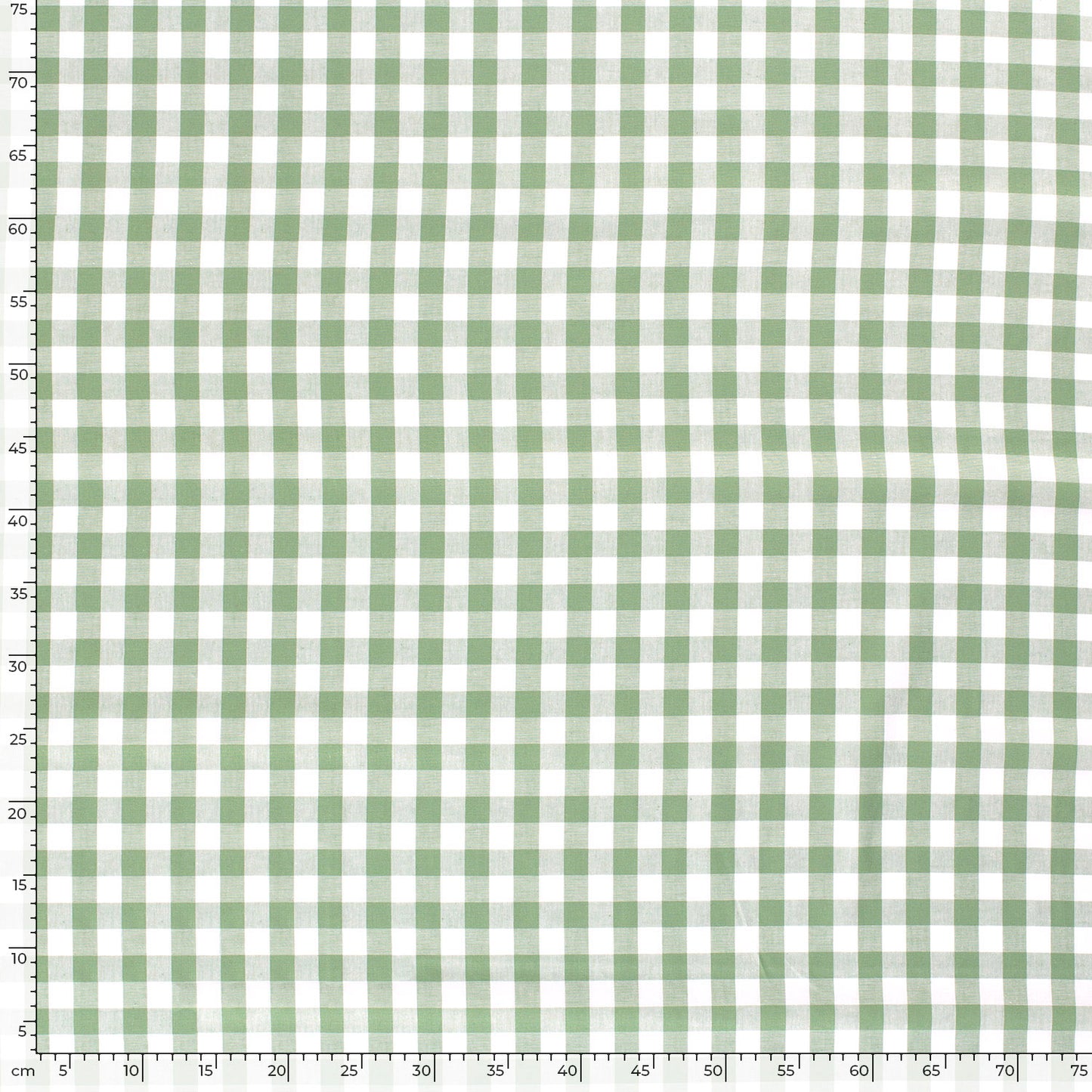 Cotton Poplin Gingham Mint 10 mm