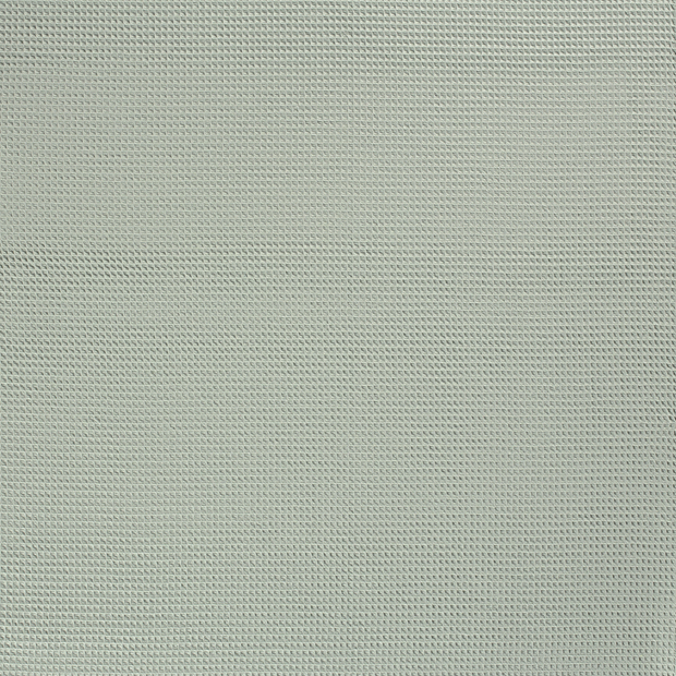 Baumwollwaffel-Minze