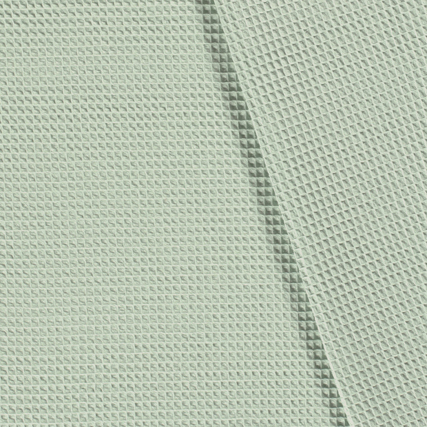 Baumwollwaffel-Minze